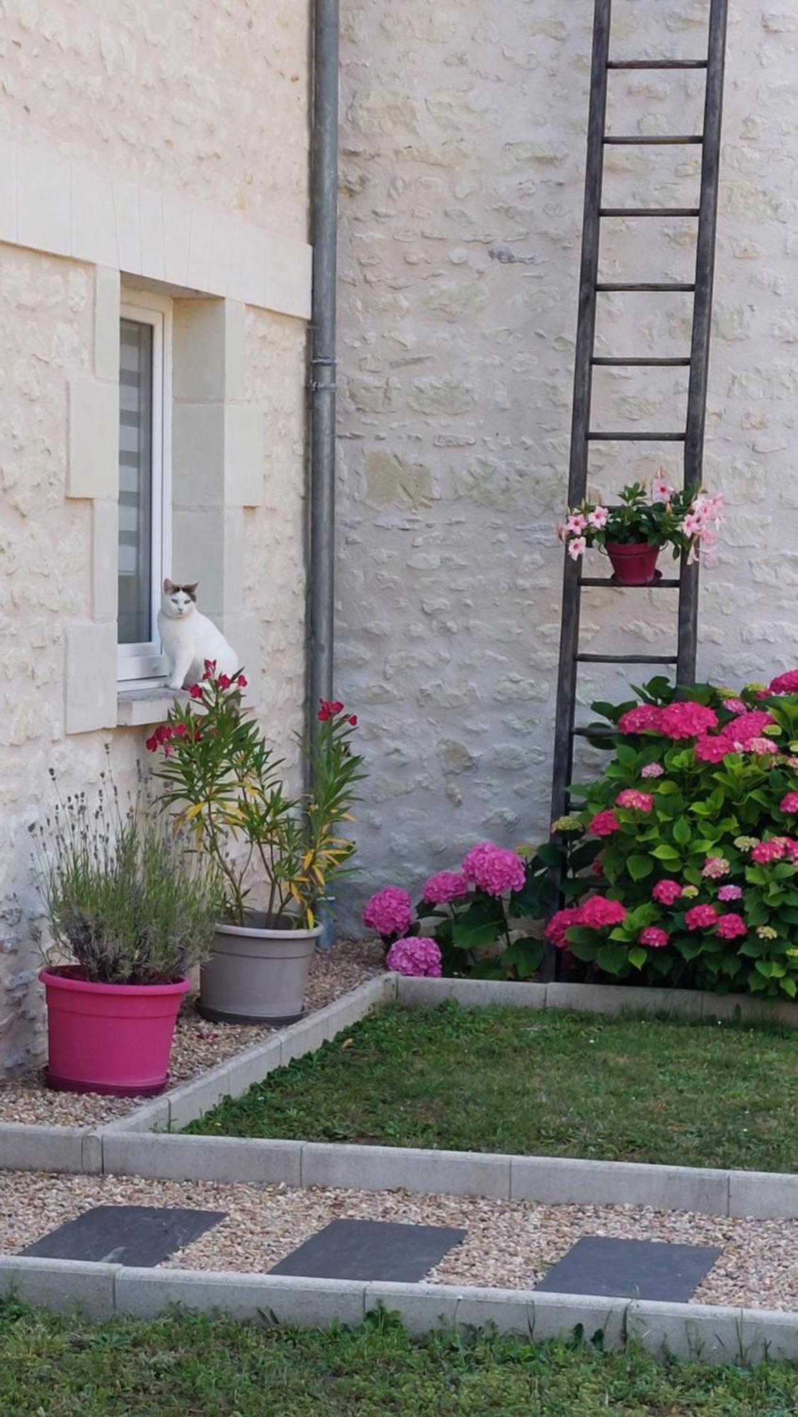 Gite Amanala Poitou Saint-Genest-d'Ambiere Exterior foto
